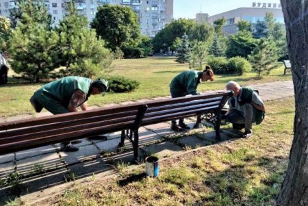 Уборка сухостоя и травы, подрезка деревьев, полив растений: 130 озеленителей ежедневно выполняют работы в зеленых зонах города (фото)