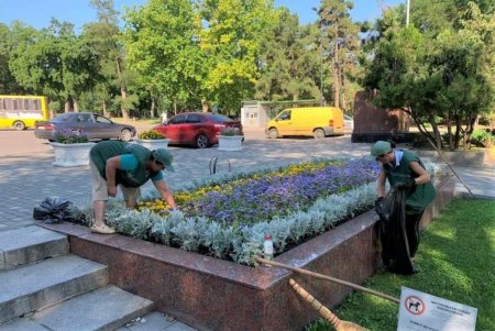 Уборка сухостоя и травы, подрезка деревьев, полив растений: 130 озеленителей ежедневно выполняют работы в зеленых зонах города (фото)