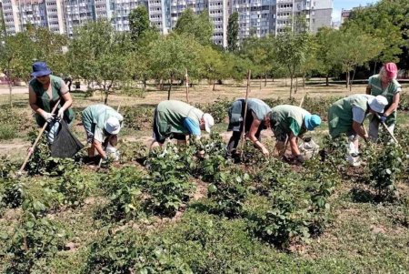 Озеленители ежедневно поливают деревья и косят траву в местных парках и скверах (фото)