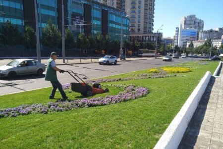 Озеленители ежедневно поливают деревья и косят траву в местных парках и скверах (фото)