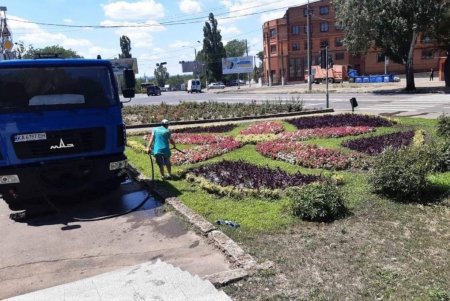 Озеленители ежедневно поливают деревья и косят траву в местных парках и скверах (фото)