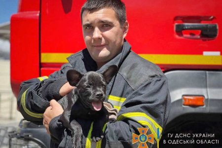В одесской пожарной части поселился новый житель (фото)