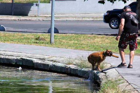Из-за невозможности попасть на море, одесситы выбирают альтернативу – городские парки (фоторепортаж)