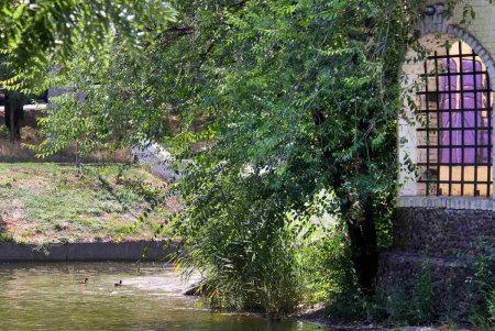Из-за невозможности попасть на море, одесситы выбирают альтернативу – городские парки (фоторепортаж)