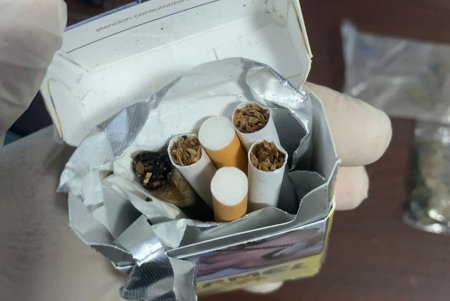Служебный пес Марсель нашел наркотики у пассажира рейсового автобуса (фото)