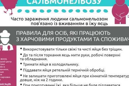В городе повысилась заболеваемость кишечными инфекциями: зарегистрирована вспышка сальмонеллеза