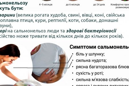 В городе повысилась заболеваемость кишечными инфекциями: зарегистрирована вспышка сальмонеллеза