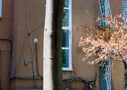 Вычурная лепнина, разнообразные скульптуры: прогулка по Маразлиевской (фоторепортаж)