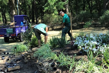 Озеленители провели субботник в Денропарке Победы (фото)