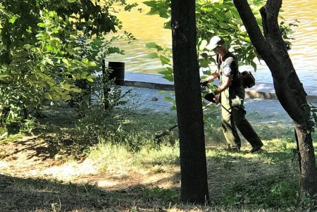 Озеленители провели субботник в Денропарке Победы (фото)
