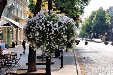 Озеленители ежедневно поливают зеленые зоны и молодые деревья (фото)