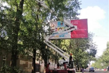 Озеленители ежедневно поливают зеленые зоны и молодые деревья (фото)