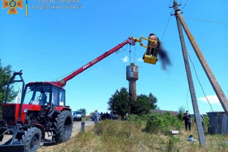 В Подольском районе на электростолбе погиб рабочий (фото, видео) 