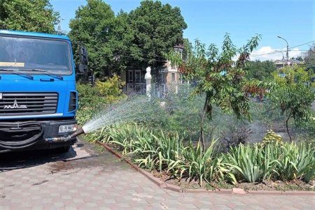Более ста озеленителей ежедневно поливают городские растения, приводят в порядок парковую мебель и детские площадки в зеленых зонах