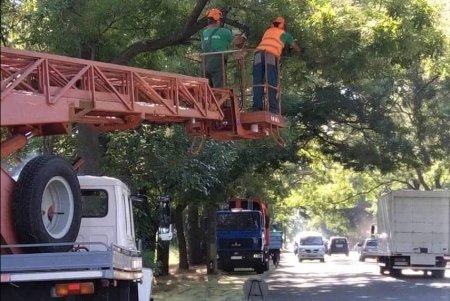 Более ста озеленителей ежедневно поливают городские растения, приводят в порядок парковую мебель и детские площадки в зеленых зонах