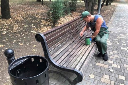 Более ста озеленителей ежедневно поливают городские растения, приводят в порядок парковую мебель и детские площадки в зеленых зонах