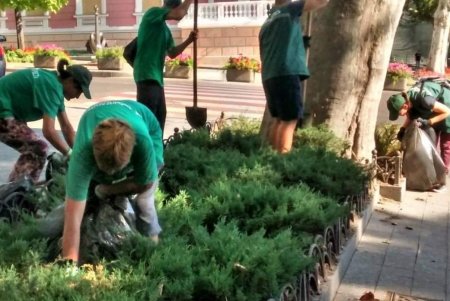 Более ста озеленителей ежедневно поливают городские растения, приводят в порядок парковую мебель и детские площадки в зеленых зонах