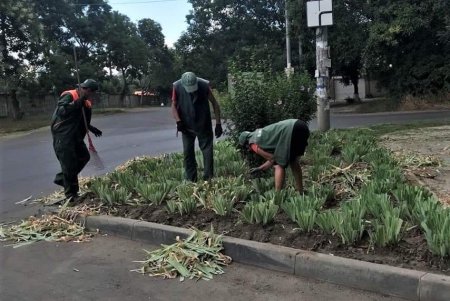 Более ста озеленителей ежедневно поливают городские растения, приводят в порядок парковую мебель и детские площадки в зеленых зонах
