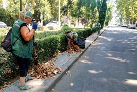 Более ста озеленителей ежедневно поливают городские растения, приводят в порядок парковую мебель и детские площадки в зеленых зонах