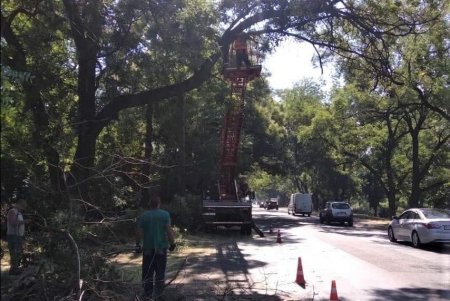 Более ста озеленителей ежедневно поливают городские растения, приводят в порядок парковую мебель и детские площадки в зеленых зонах