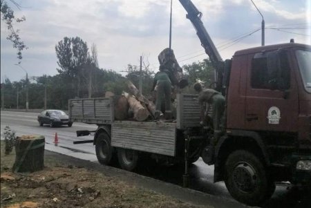 Более ста озеленителей ежедневно поливают городские растения, приводят в порядок парковую мебель и детские площадки в зеленых зонах