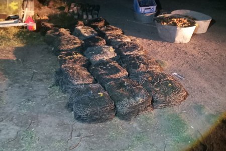 Двое браконьеров выловили рыбу и раков из озера Катлабух на восемь миллионов гривен (фото)