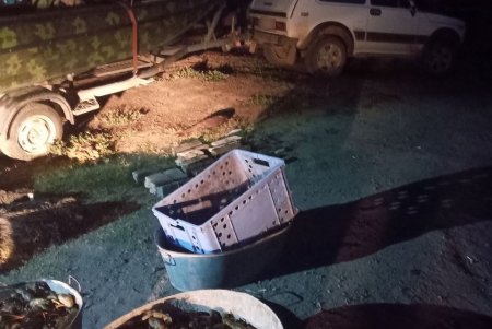 Двое браконьеров выловили рыбу и раков из озера Катлабух на восемь миллионов гривен (фото)
