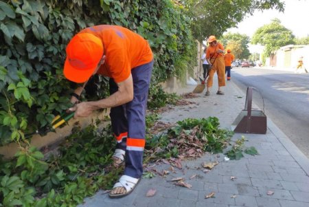В нескольких районах города коммунальщики провели традиционные субботники (фото)