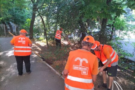 В нескольких районах города коммунальщики провели традиционные субботники (фото)