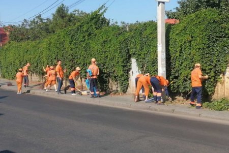 В нескольких районах города коммунальщики провели традиционные субботники (фото)