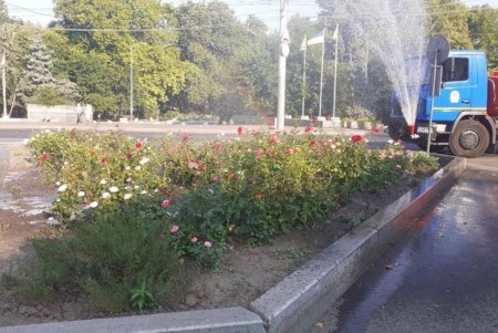 Коммунальщики провели субботник в сквере «Юность»: убирали мусор, подрезали деревья (фото)