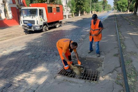 Коммунальщики провели субботник в сквере «Юность»: убирали мусор, подрезали деревья (фото)