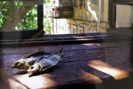 Горожане смогли полюбоваться неповторимыми «Одесскими двориками» (фоторепортаж) 