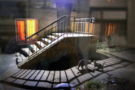 Горожане смогли полюбоваться неповторимыми «Одесскими двориками» (фоторепортаж) 