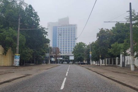 На Французском бульваре обновили дорожную разметку (фото)