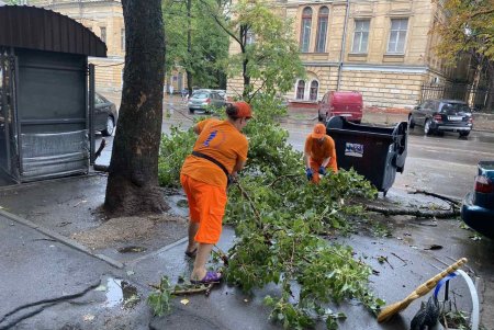 Непогода в Одессе повалила около десятка деревьев: коммунальные службы ликвидируют последствия стихии (фото)