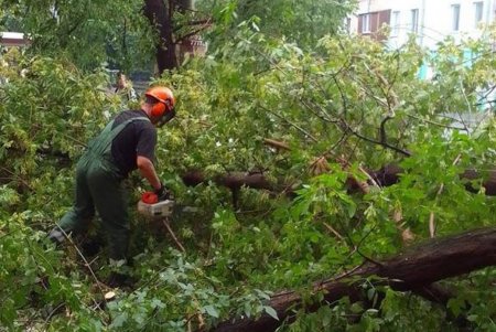 Коммунальщики ликвидируют последствия непогоды (фото)