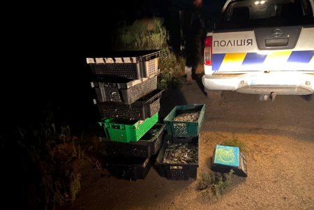 Три браконьера из Коблево выловили почти 140 кг рыбы на территории заповедника в Одесской области (фото)