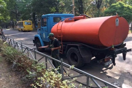 На проспекте Гагарина озеленители подготовили участок под посадку 45 катальп и 1500 кустов золотистой бирючины (фото)