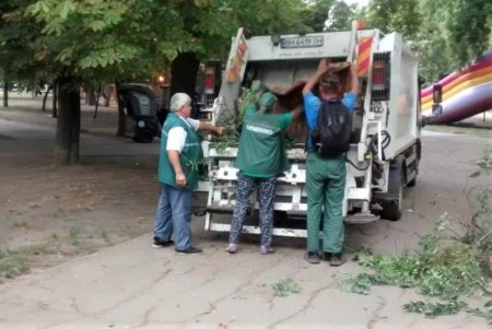 На проспекте Гагарина озеленители подготовили участок под посадку 45 катальп и 1500 кустов золотистой бирючины (фото)