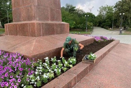 На проспекте Гагарина озеленители подготовили участок под посадку 45 катальп и 1500 кустов золотистой бирючины (фото)