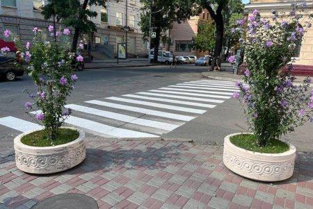 В Приморском районе установили два дополнительных пешеходных перехода (фото)