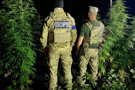 Ехали поливать плантацию конопли: пограничники Подольского района выявили двух нарушителей (фото)