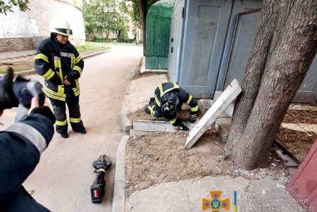 В Малиновском районе спасатели вызволили собаку, застрявшую между бетонными плитами (фото)