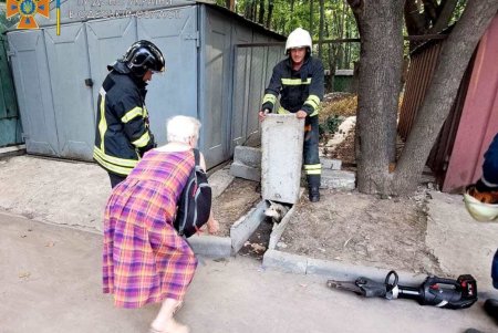 В Малиновском районе спасатели вызволили собаку, застрявшую между бетонными плитами (фото)