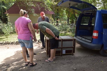В Одесском зоопарке у гиеновидной собаки Красавчика появилась подруга (фото, видео)