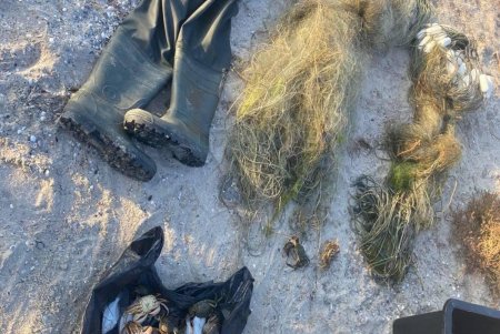 Трое браконьеров из Белгород-Днестровского района наловили сетями рыбы более чем на миллион гривен (фото, видео)