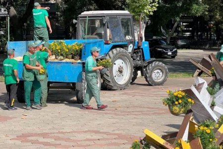 Возле ОГА одесские коммунальщики ко Дню Независимости украсили противотанковые ежи цветами, высаженными в шлемы (фото)
