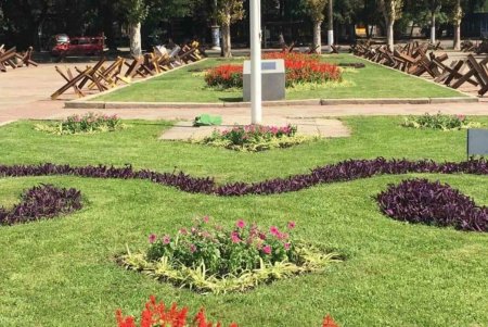 Возле ОГА одесские коммунальщики ко Дню Независимости украсили противотанковые ежи цветами, высаженными в шлемы (фото)