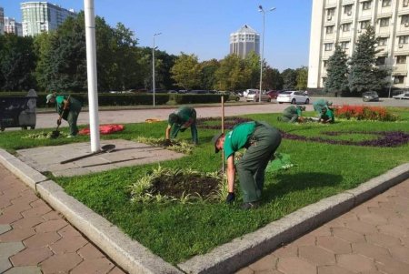 Возле ОГА одесские коммунальщики ко Дню Независимости украсили противотанковые ежи цветами, высаженными в шлемы (фото)